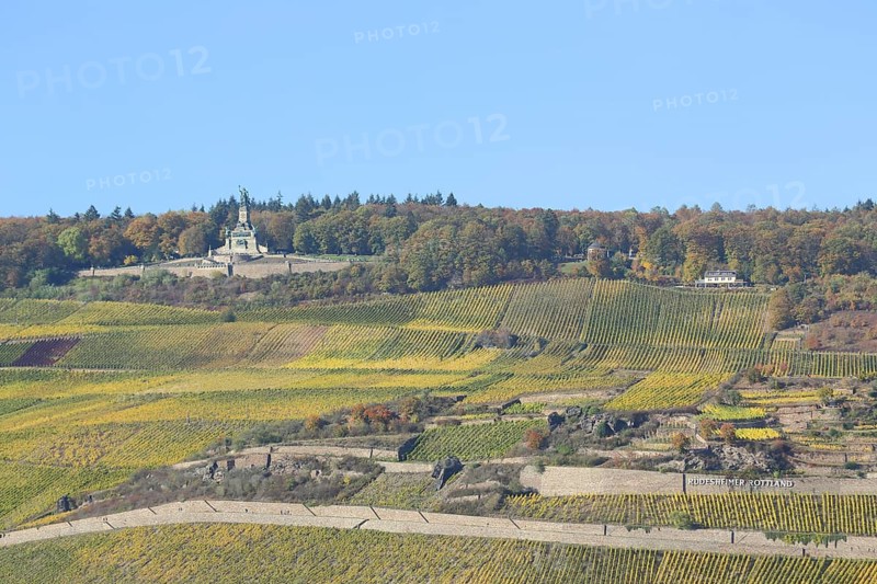 View of UNESCO Niederwald Monument with vineyards, vineyards, fields, autumn landscape, autumn, landscape, wine-growing area, Niederwald Monument, Rüdesheim, Rheingau, Taunus, Hesse, Upper Middle Rhine Valley, Middle Rhine Valley, Germany, Europe