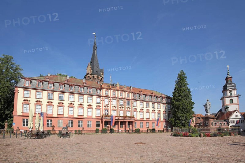 Baroque castle with tower and town church, market square with monument, Erbach, Hesse, Odenwald, Germany, Europe