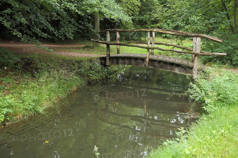 Wooden bridge in the castle park, stream, idyll, footbridge, Donaueschingen, Baden-Württemberg, Germany, Europe