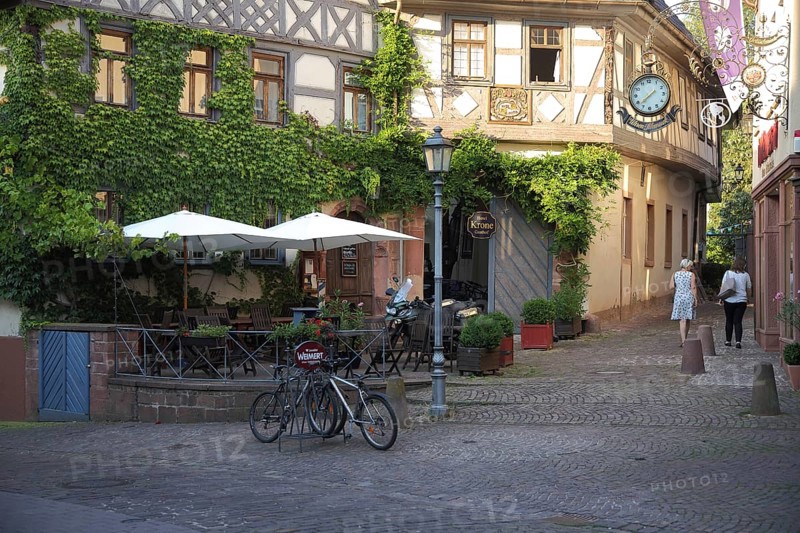 Hotel Gasthof Krone, half-timbered house, idyll, plant growth, Lohr am Main, Lower Franconia, Franconia, Spessart, Bavaria, Germany, Europe