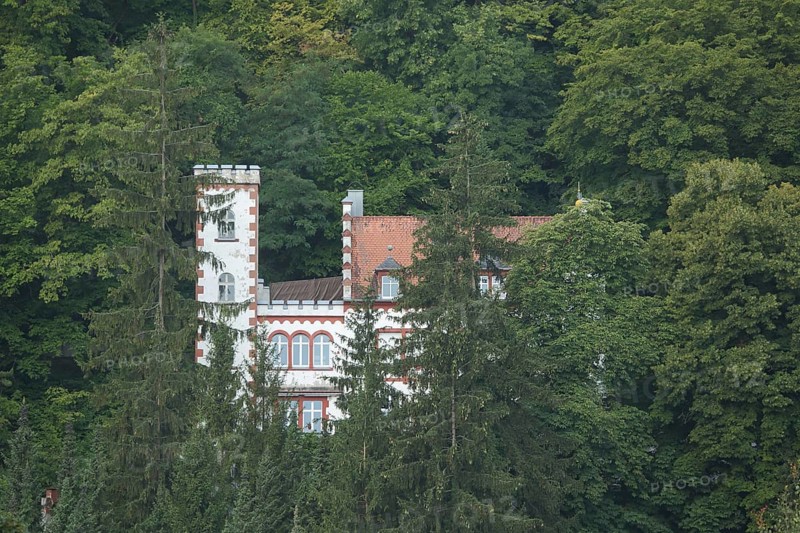 Steinbrück Castle hidden in the forest, villa, Karlstadt, Lower Franconia, Franconia, Bavaria, Germany, Europe