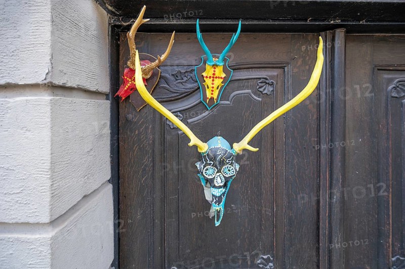 Colourfully painted antlers on a front door, Mainbernheim, Lower Franconia, Bavaria, Germany, Europe