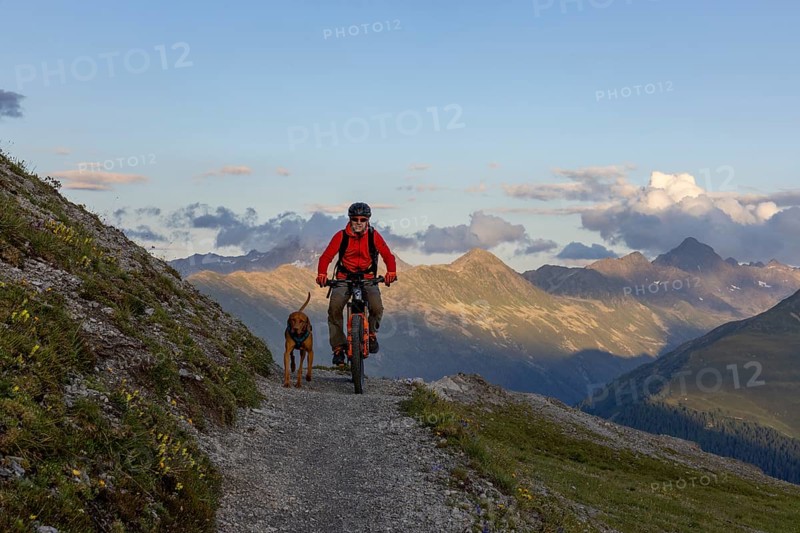Mountain biker with traildog, man with his Vizsla on the panorama trail, bike tour, Parsenn, Davos, Graubünden, Switzerland, Europe