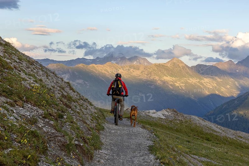 Mountain biker with traildog, man with his Vizsla on the panorama trail, bike tour, Parsenn, Davos, Graubünden, Switzerland, Europe