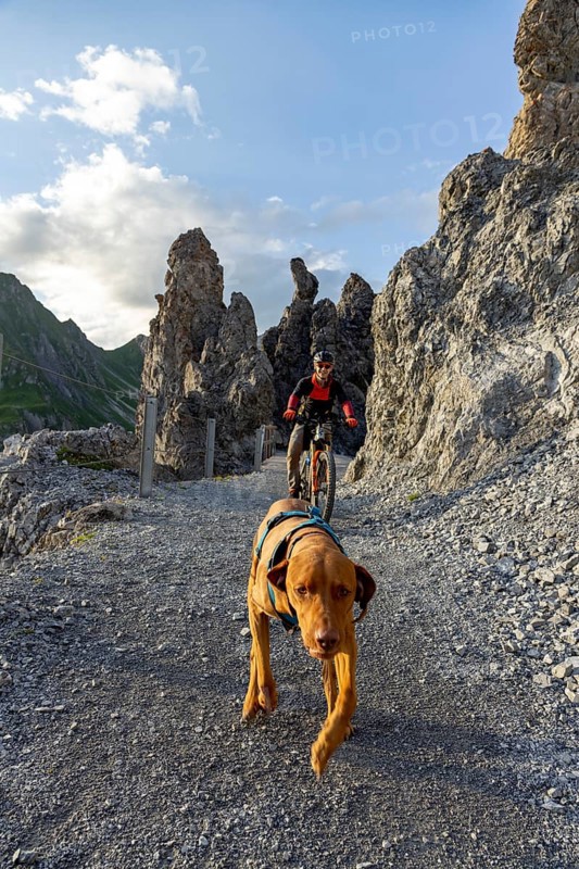Trail dog and mountain biker in the mountains, Davos, Graubünden, Switzerland, Europe