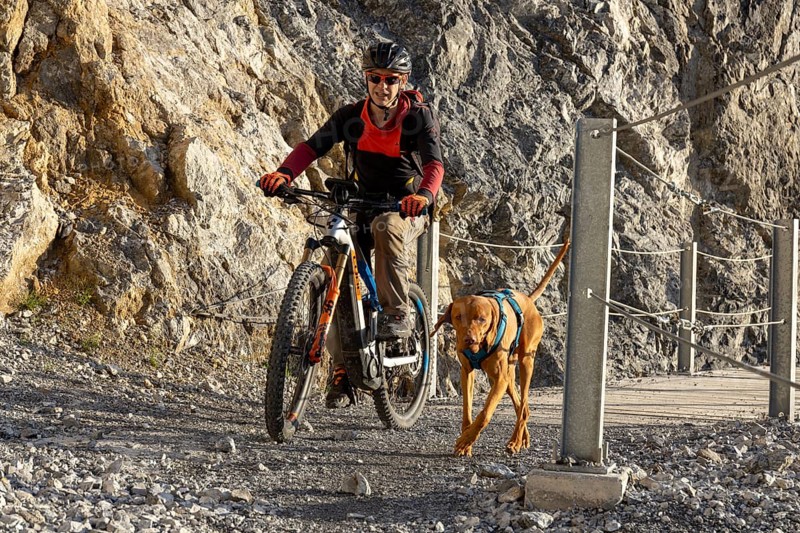 Mountain biker with traildog, man with his Vizsla on a path in the mountains, Davos, Graubünden, Switzerland, Europe