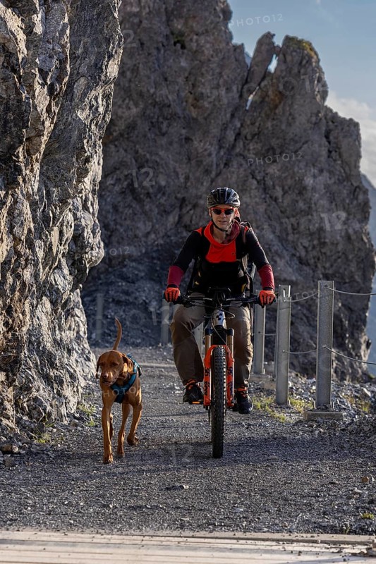 Mountain biker with traildog, man with his Vizsla on a path in the mountains, Davos, Graubünden, Switzerland, Europe