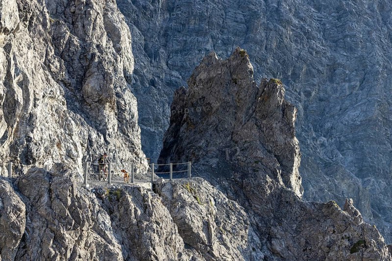 Mountain biker with traildog, man with his Vizsla on a rough, rocky, secured path in the mountains, Davos, Graubünden, Switzerland, Europe