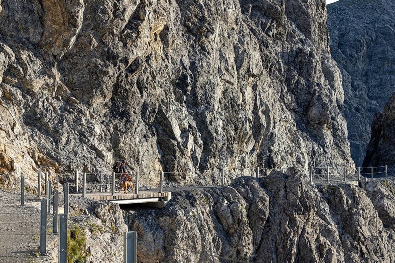 Mountain biker with traildog, man with his Vizsla on a rough, rocky, secured path in the mountains, Davos, Graubünden, Switzerland, Europe