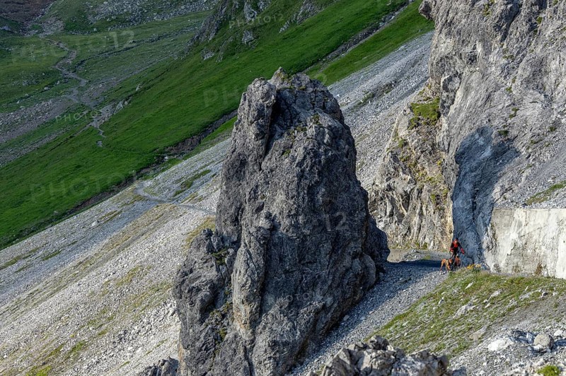 Mountain biker with traildog, man with his Vizsla on a path in the mountains, Davos, Graubünden, Switzerland, Europe