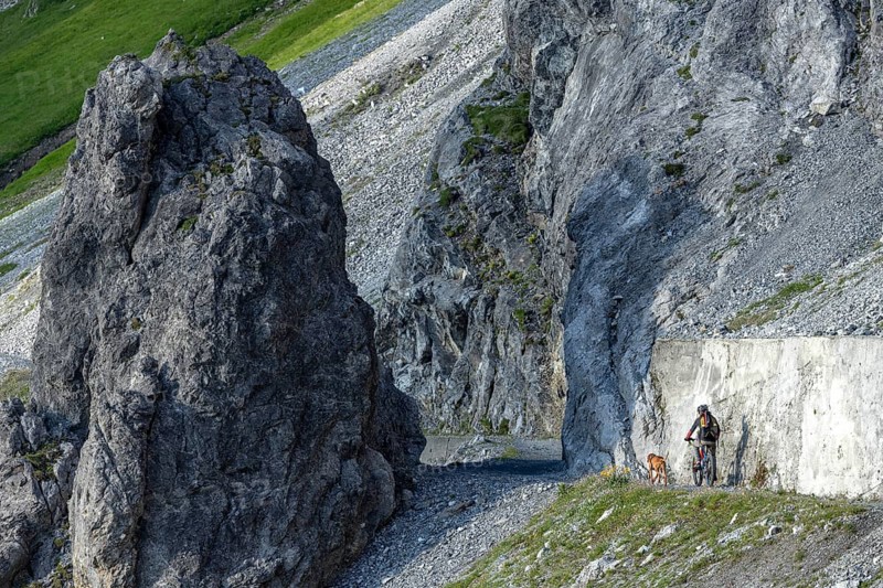 Mountain biker with traildog, man with his Vizsla on a path in the mountains, Davos, Graubünden, Switzerland, Europe