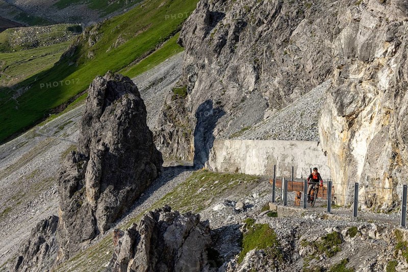 Mountain biker with traildog, man with his Vizsla on a path in the mountains, Davos, Graubünden, Switzerland, Europe