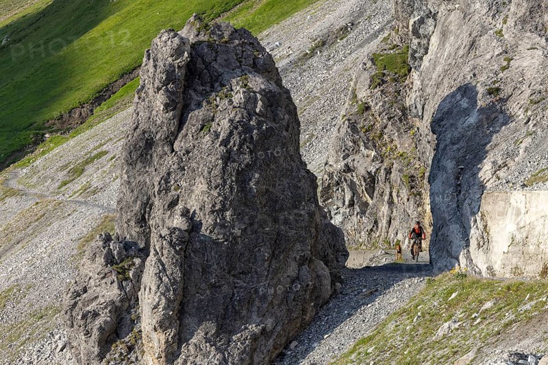 Mountain biker with traildog, man with his Vizsla on a path in the mountains, Davos, Graubünden, Switzerland, Europe
