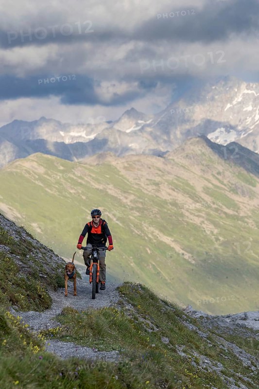 Mountain biker with traildog, man on a mountain bike with his dog, Panoramaweg, Davos, Graubünden, Switzerland, Europe