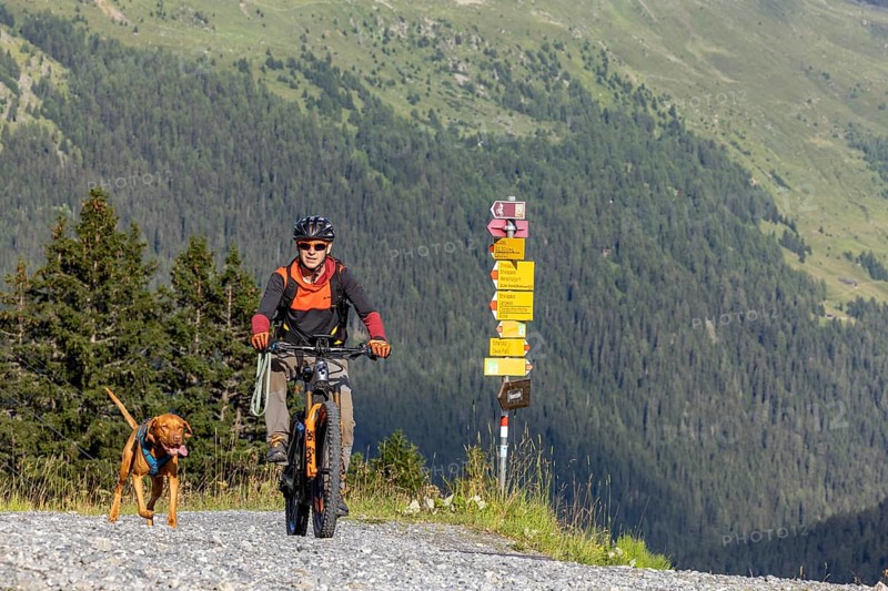 Mountain biker with traildog, man on a mountain bike with his dog, Panoramaweg, Davos, Graubünden, Switzerland, Europe