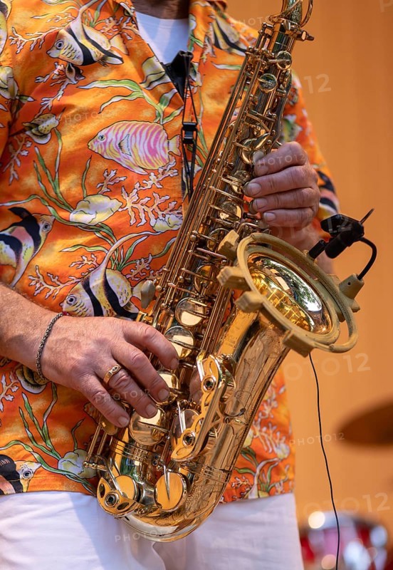 Detail shot, saxophonist Ulrich Schneider of the jazz band LoT Late on Tuesday, Stuttgart, Baden-Württemberg, Germany, Europe