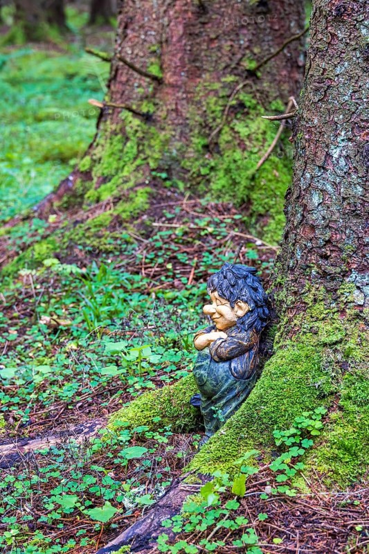 Troll leaning against a tree trunk in a forest with green moss and wood sorrel (Oxalis acetosella) leaves