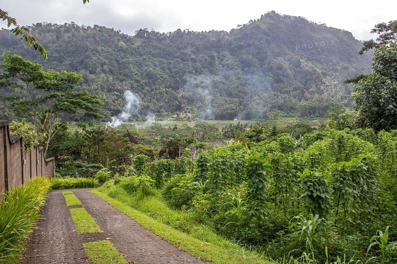 Beautiful tropical landscape. Rice fields, jungle and lots of nature on an island. Rice cultivation and rice terraces with nature. sidemen, Bali, Indonesia, Asia