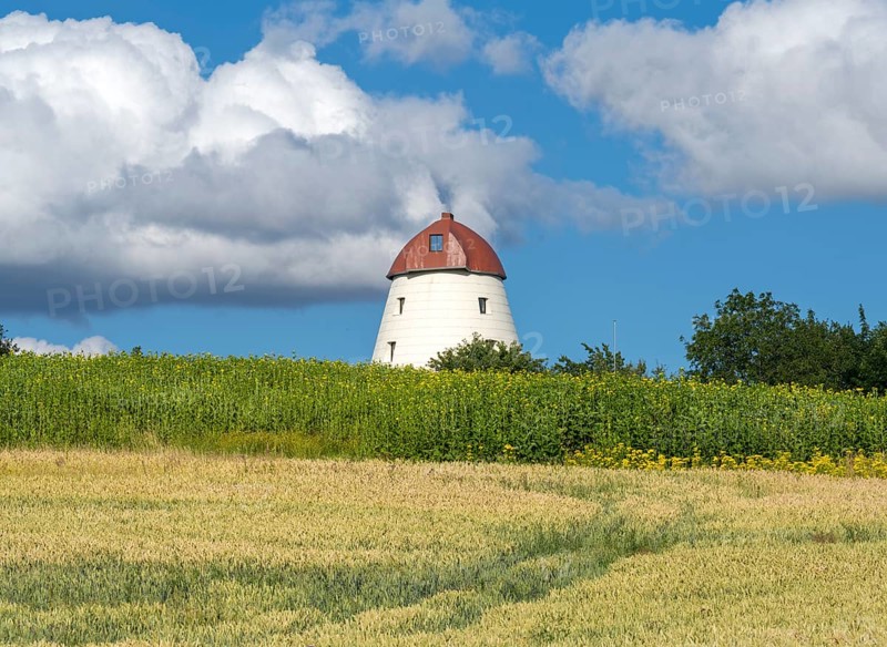 Windmill with grain field Escher Auetal Germany