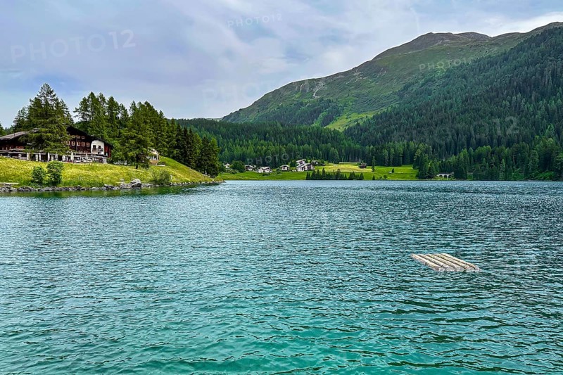 Mountain lake with clear blue water, surrounded by green forests and meadows with scattered houses, Davos, Switzerland, Europe