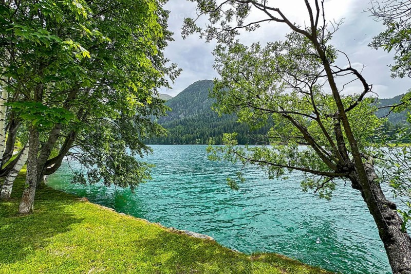 A calm lake with a green shore and trees in the foreground, nestled in wooded mountains, Davos, Switzerland, Europe