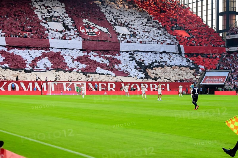 2nd Bundesliga, 1.FC Köln, HSV Hamburg on 02/08/2014 at RheinEnergieStadion in Cologne Germany . (DFL/DFB REGULATIONS PROHIBIT ANY USE OF PHOTOGRAPHS AS IMAGE SEQUENCES AND/OR QUASI-VIDEO)