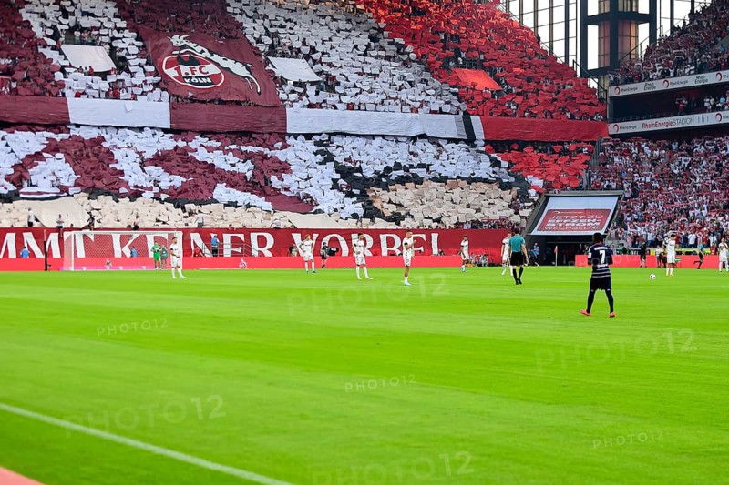 2nd Bundesliga, 1.FC Köln, HSV Hamburg on 02/08/2014 at RheinEnergieStadion in Cologne Germany . (DFL/DFB REGULATIONS PROHIBIT ANY USE OF PHOTOGRAPHS AS IMAGE SEQUENCES AND/OR QUASI-VIDEO)