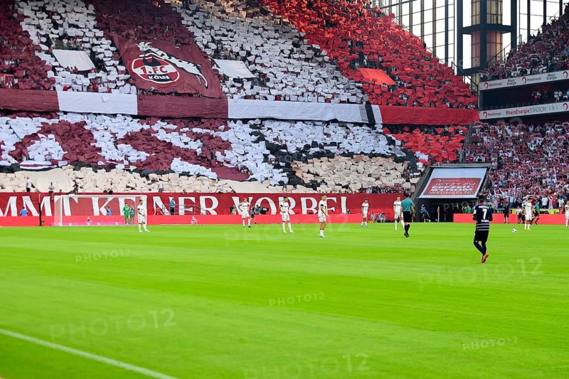 2nd Bundesliga, 1.FC Köln, HSV Hamburg on 02/08/2014 at RheinEnergieStadion in Cologne Germany . (DFL/DFB REGULATIONS PROHIBIT ANY USE OF PHOTOGRAPHS AS IMAGE SEQUENCES AND/OR QUASI-VIDEO)