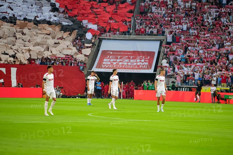 2nd Bundesliga, 1.FC Köln, HSV Hamburg on 02/08/2014 at RheinEnergieStadion in Cologne Germany . (DFL/DFB REGULATIONS PROHIBIT ANY USE OF PHOTOGRAPHS AS IMAGE SEQUENCES AND/OR QUASI-VIDEO)