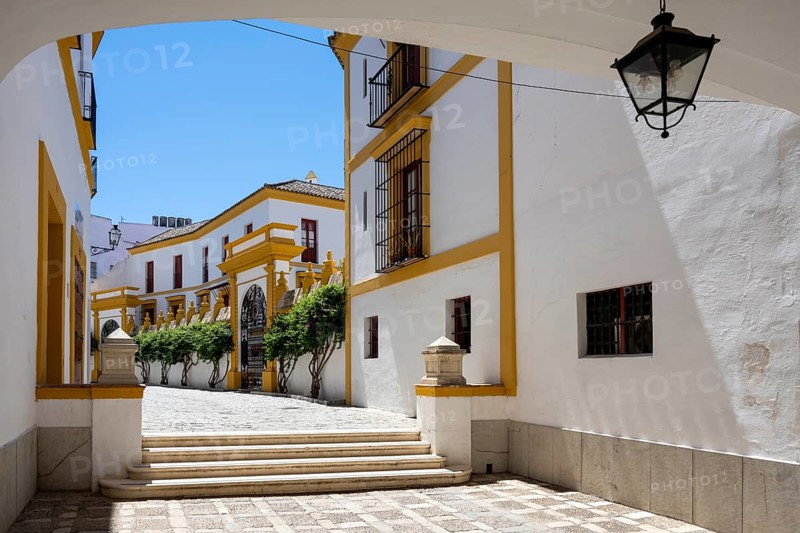 Typical house façade, near the bullring, Plaza de Toros de la Real Maestranza de Caballeria, Seville, Spain, Europe