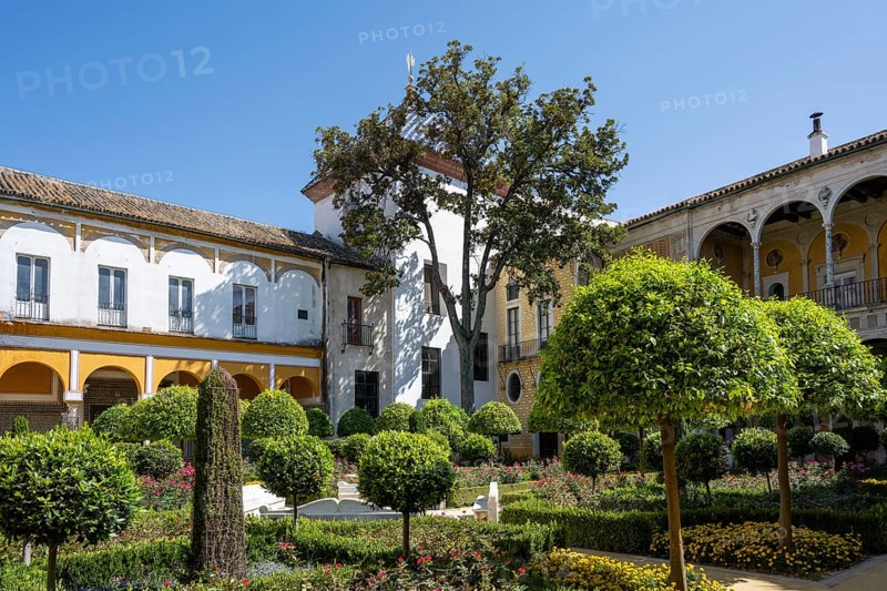 Garden with exotic plants, Casa de Pilatos city palace with Mudejar style elements, Seville, Seville, Andalusia, Spain, Europe