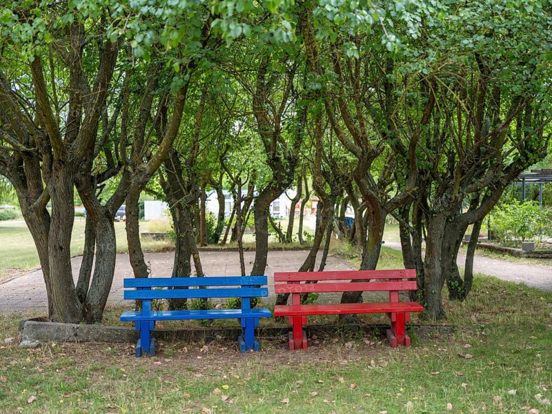 A blue and a red wooden bench under trees at Lake Jersleben next to a campsite, Jersleben, Saxony-Anhalt, Germany, Europe