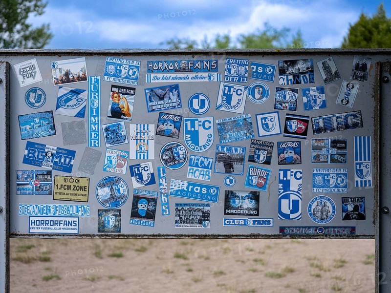 Stickers of Ultras, horror fans, hardcore fans of the football club 1. FC Magdeburg on a board at the Jersleber See, Jersleben, Saxony-Anhalt, Germany, Europe