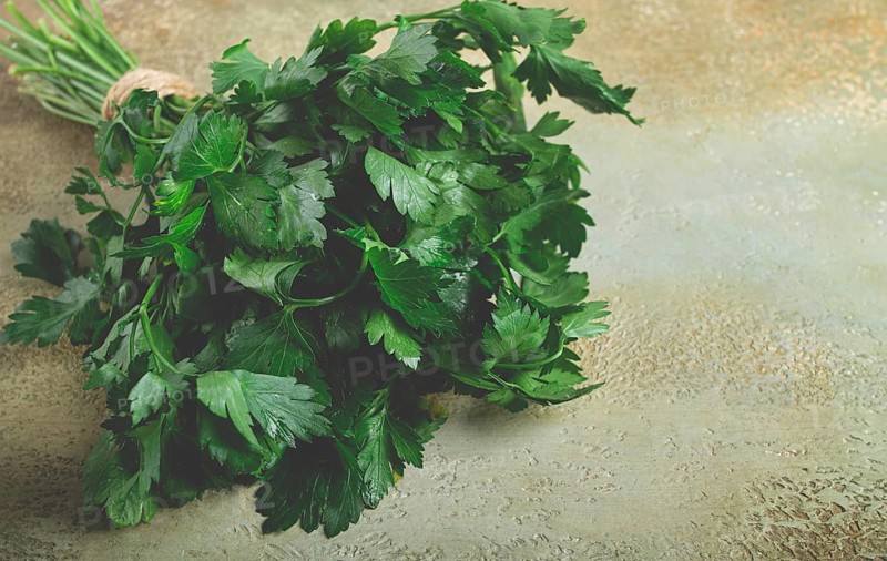 Bunch of parsley, on the table, top view, no people