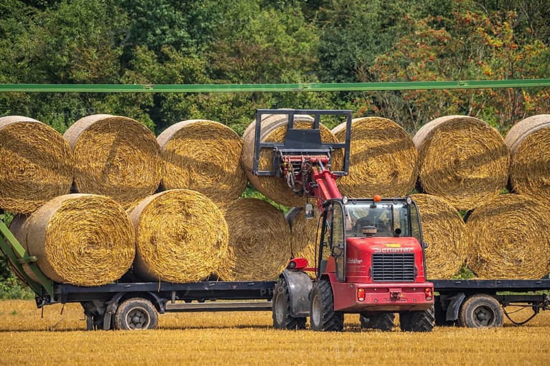 Straw bales, round bales, are loaded onto a trailer after the grain harvest, near Neuss North Rhine-Westphalia, Germany, Europe
