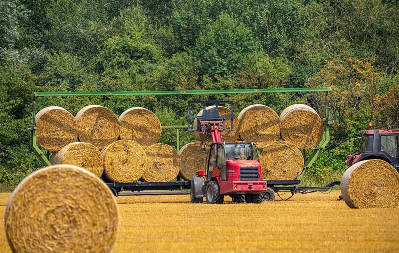 Straw bales, round bales, are loaded onto a trailer after the grain harvest, near Neuss North Rhine-Westphalia, Germany, Europe