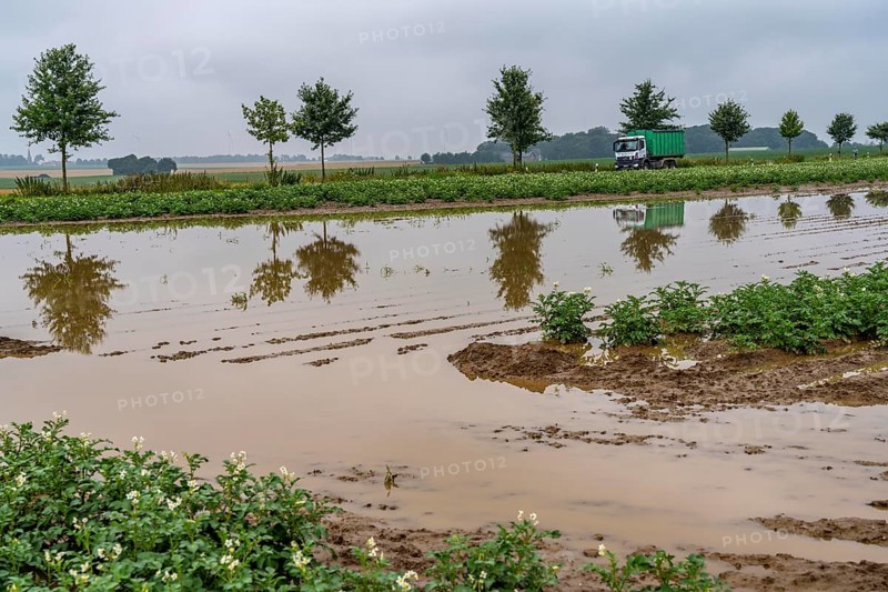 Potato field near Bedburg, flooded after heavy rainfall, many potato ridges drowned and the plants destroyed, crop failures, North Rhine-Westphalia, Germany, Europe
