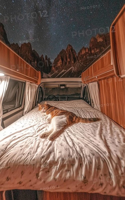A cat lying on a bed in a van under a starry sky, surrounded by mountains with a wooden interior, AI generated
