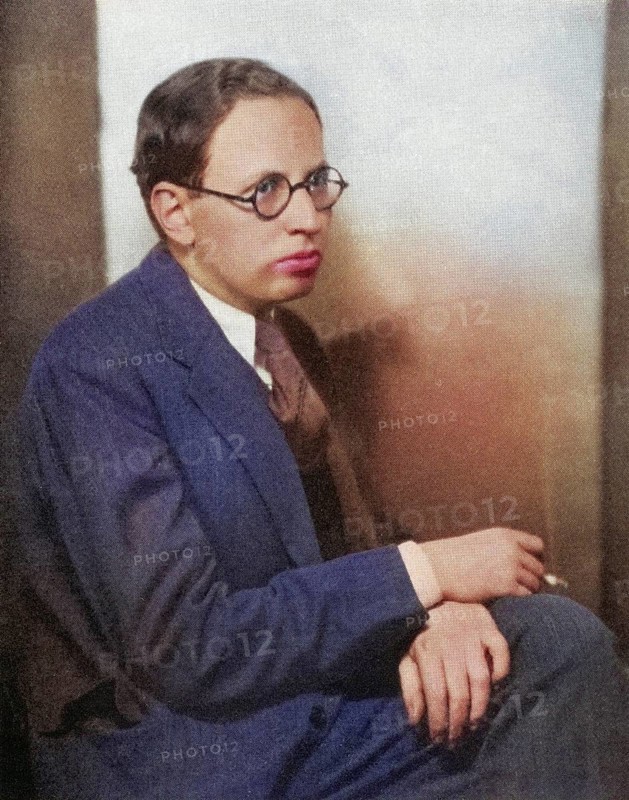 Elmer Rice, 1892 to 1967, US-American playwright. From the book Back to Montparnasse by Sisley Huddleston, published in 1931, Historical, digitally restored reproduction from a 19th century original, Record date not stated
