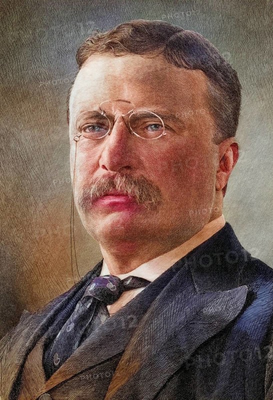 Theodore D. Roosevelt, 1858 to 1919. 26th President of the United States, Historical, digitally restored reproduction from a 19th century original, Record date not stated