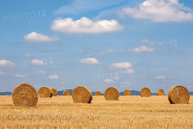 Straw bales on a stubble field, Viehstrich, Southern Palatinate, Palatinate, Rhineland-Palatinate, Germany, Europe