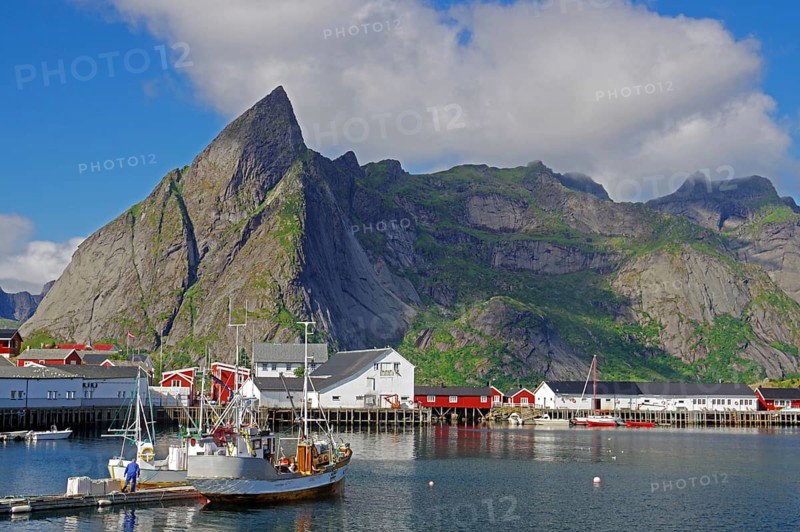 Norwegian harbour with fishing boats and colourful buildings at the foot of a green mountain under a clear sky, Rorbuer, Hamnoy, Moskenes Lofoten, Nordland, Norway, Europe