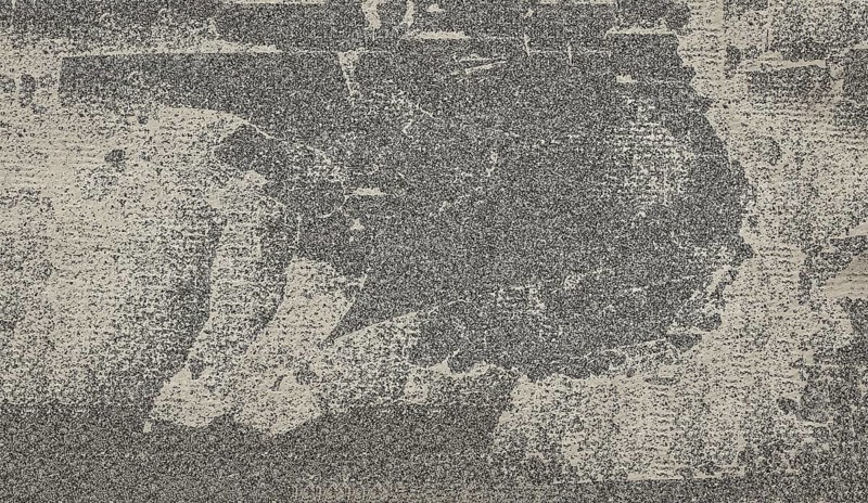 Abstract black and white image filled with grainy texture and noise