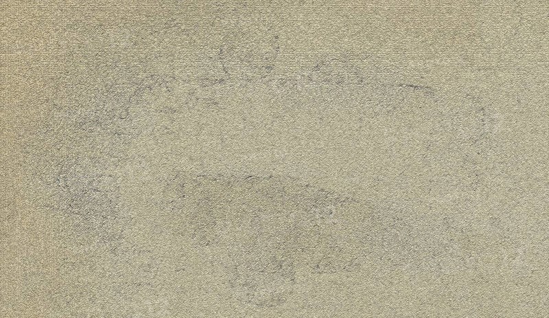 Rough, textured surface with a light beige tone, presenting a minimalistic and abstract appearance