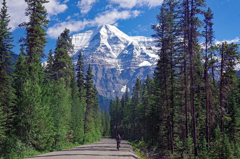A narrow road leads to a snow-covered mountain under a blue sky, cyclist, Mount Robson, British Columbia, Canada, North America