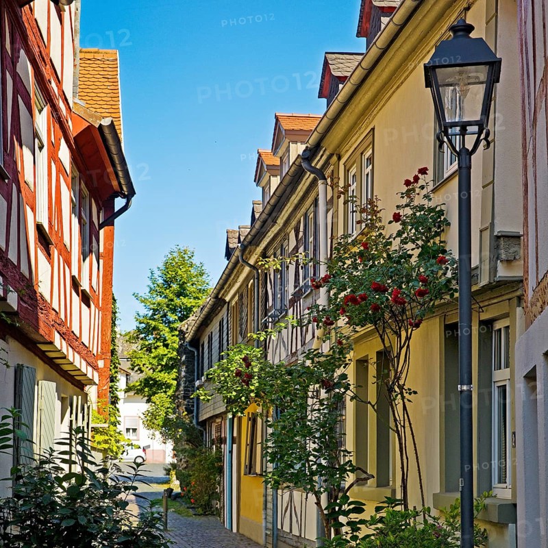 Alley with heritage-protected half-timbered houses in the historic centre of Frankfurt-Höchst, Frankfurt am Main, Hesse, Germany, Europe