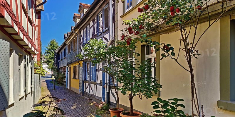 Alley with heritage-protected half-timbered houses in the historic centre of Frankfurt-Höchst, Frankfurt am Main, Hesse, Germany, Europe