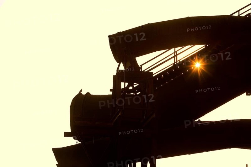 The sun shines through large former industrial pipes in the Westpark with a pigeon, industrial culture, Bochum, Ruhr area, North Rhine-Westphalia, Germany, Europe