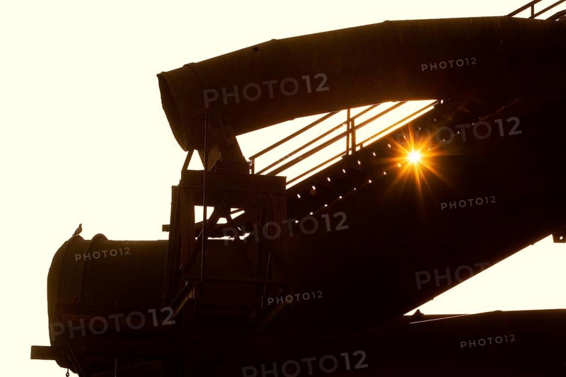 The sun shines through large former industrial pipes in the Westpark with a pigeon, industrial culture, Bochum, Ruhr area, North Rhine-Westphalia, Germany, Europe
