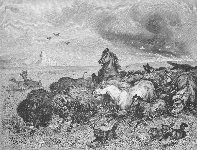 Wild horses and bison flee in panic from a prairie fire, Montana, 1895, USA, Historical, digitally restored reproduction from a 19th century original, Record date not stated, North America